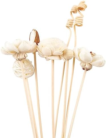 LOOGOOL 5Pcs Chinese Rose Reed Diffuser Set
