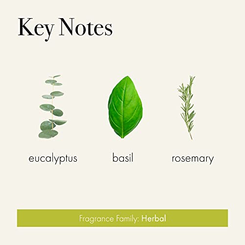 LAFCO New York Signature Reed Diffuser Rosemary Eucalyptus