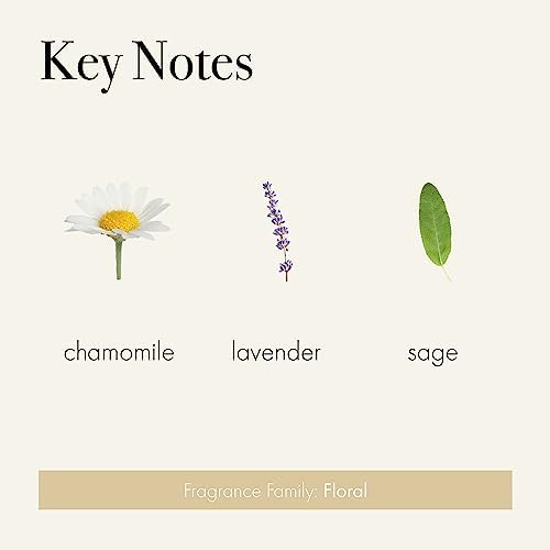 LAFCO New York Classic Reed Diffuser Chamomile Lavender 6 oz