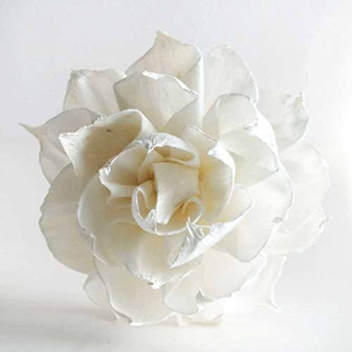Penny Rose Dahlia Diffuser Set Penny Candy Scent