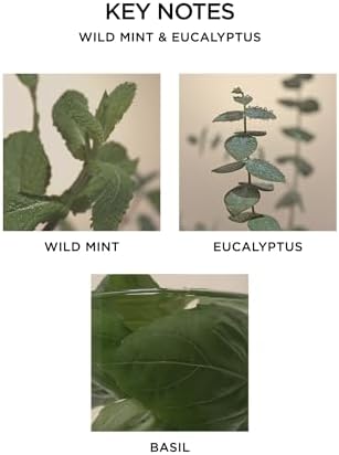 NEST New York Wild Mint Eucalyptus Bundle