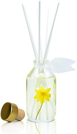 LOVSPA Coastal Citrus Reed Diffuser Set