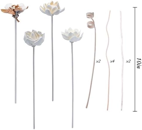 Oxmidud Flowers Reed Diffuser Sticks Set