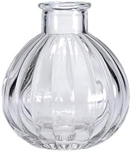 Vipolish Clear Glass Diffuser Bottle for DIY Replacement