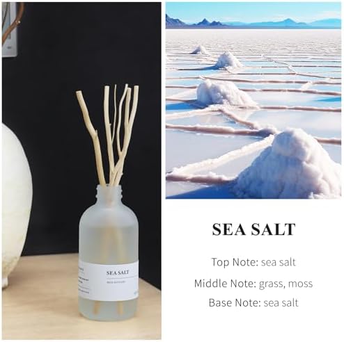 Sea Salt Musk Reed Diffuser with Willow Branches Decor