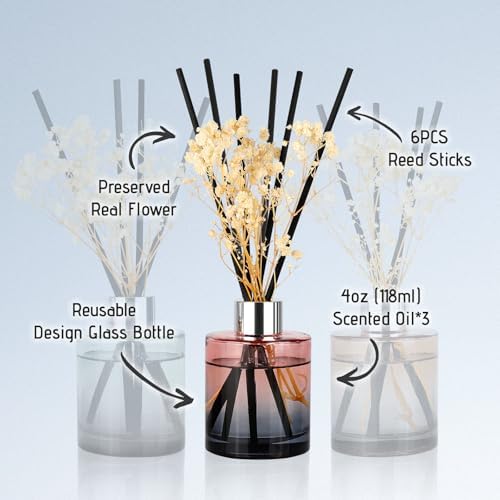 Brakula 3 Pack Reed Diffuser Set with 18 Sticks and 3 Bottles