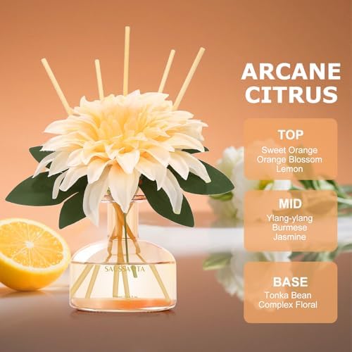 Saussavita Reed Diffuser Set Tangerine Scent 71 fl oz