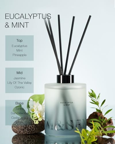 MSENSE Eucalyptus Mint Reed Diffuser Set