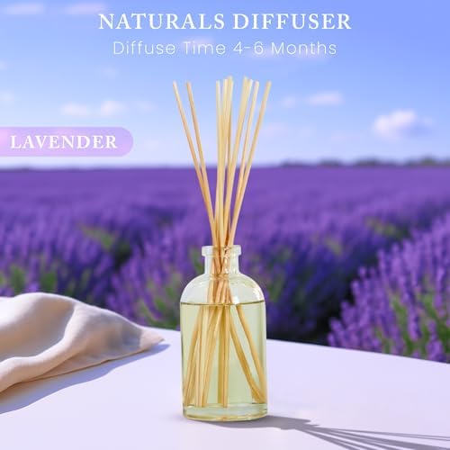 Hillhouse Naturals Lavender Reed Diffuser Set