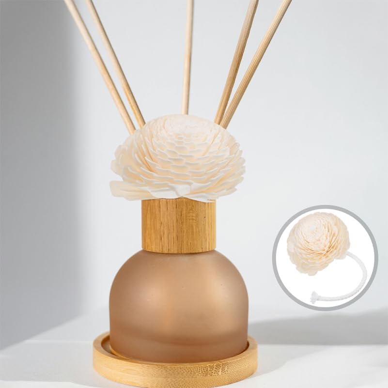 NOLITOY Diffuser with Mixed Sola Flowers and Cotton Reed