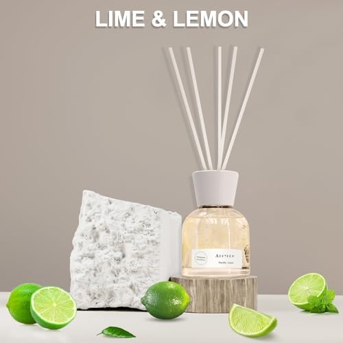 Aeeteek Reed Diffuser Set with 6 Fiber Sticks