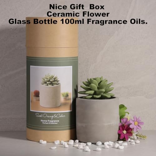 Pretty Valley Home Reed Diffuser Set - Sweet Orange Cedar
