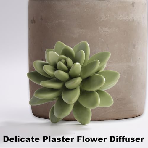 Pretty Valley Home Reed Diffuser Set with Succulent