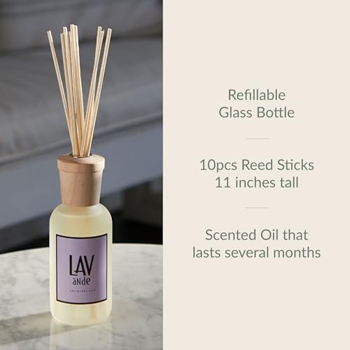 Archipelago Botanicals Lavande Reed Diffuser Set