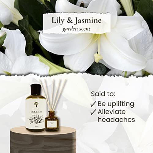 Pristine Lily Jasmine Reed Diffuser Set for Home and Bathroom