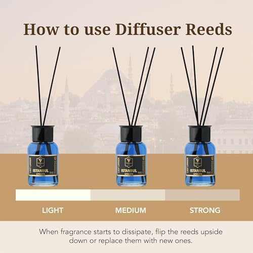 Luxury Reed Diffuser Set with Sticks - Woody Aromatics for Home