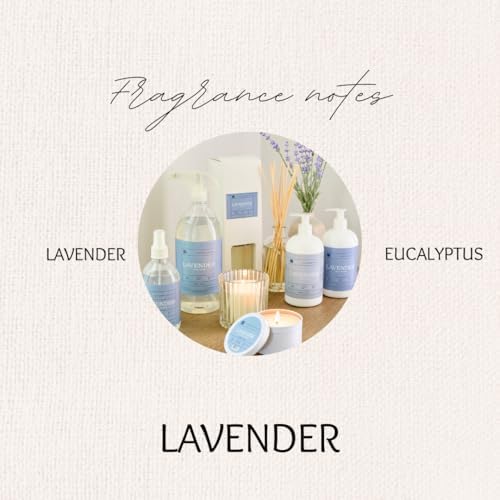 Hillhouse Naturals Lavender Reed Diffuser Set