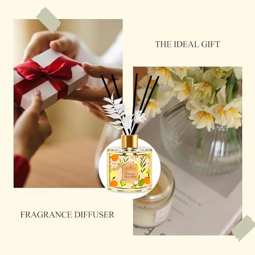 Citrus Scented Reed Diffuser Set 67oz