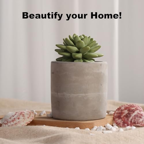 Pretty Valley Home Reed Diffuser Set with Succulent