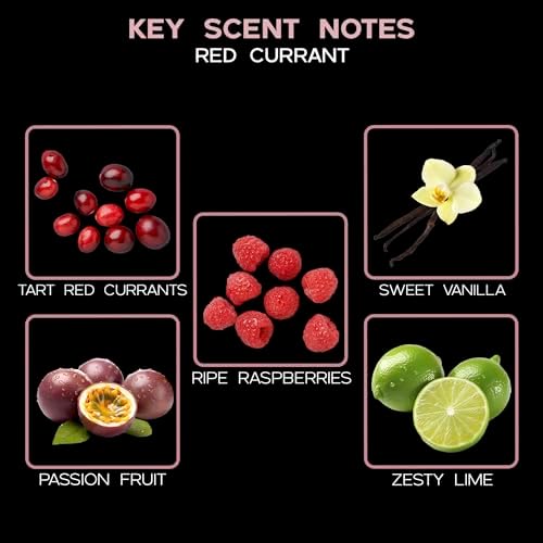 LOVSPA Red Currant Reed Diffuser Gift Set