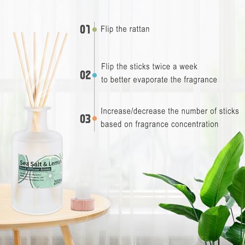 Sea Salt Lemon Reed Diffuser Set 200ml Long Lasting Aroma