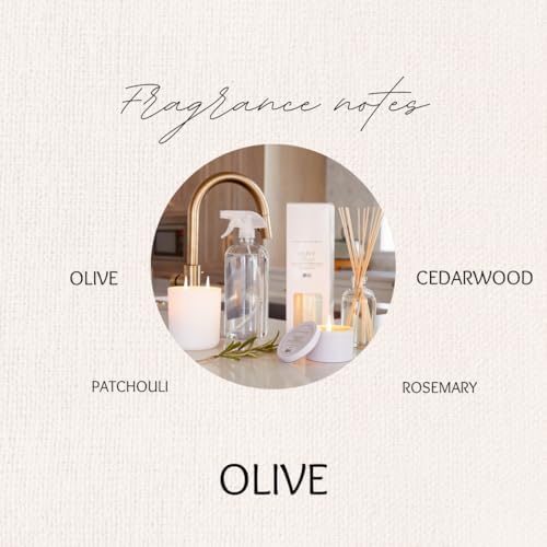 Hillhouse Naturals Olive Scent Reed Diffuser Set