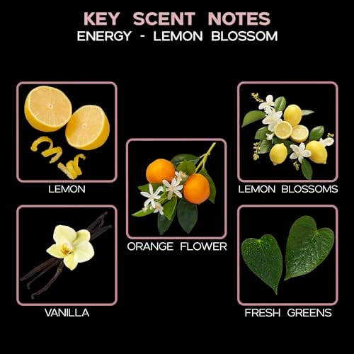 LOVSPA Energy Lemon Blossom Reed Diffuser Set