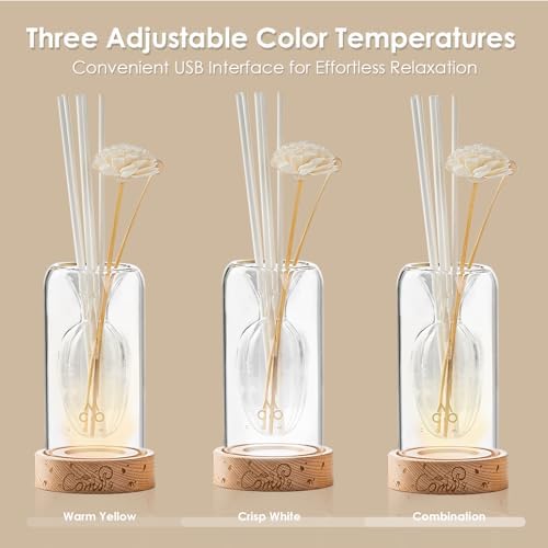 COMI Glass Reed Diffuser Set with Night Light