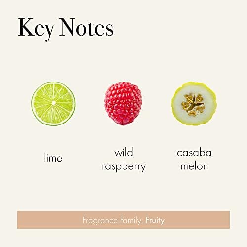 LAFCO New York Classic Reed Diffuser Paloma Melon 6 oz