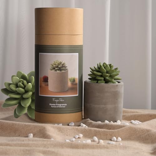 Pretty Valley Home Reed Diffuser Set with Succulent