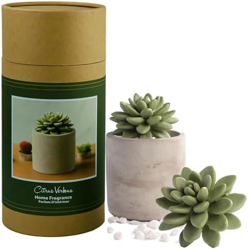Pretty Valley Home Reed Diffuser Set with Succulent