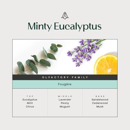 AROMAPLAN Minty Eucalyptus Reed Diffuser Set