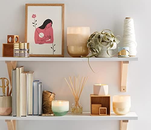 Illume Coconut Milk Mango Reed Diffuser Set