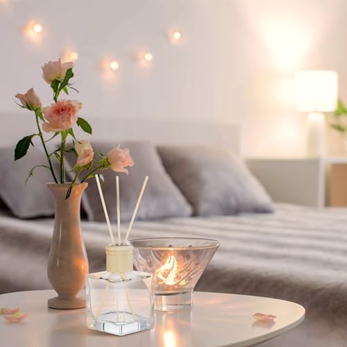 Mifoci 10 Piece Glass Diffuser Set with Sticks and Caps