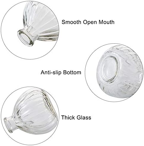 Vipolish Clear Glass Diffuser Bottle for DIY Replacement