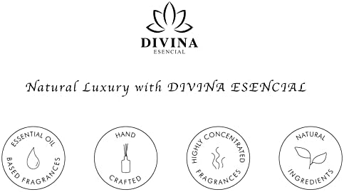 Divina Esencial Rose Amber Reed Diffuser Set