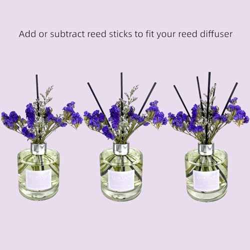 Lyricent Reed Diffuser Set with Eucalyptus Lavender Oil