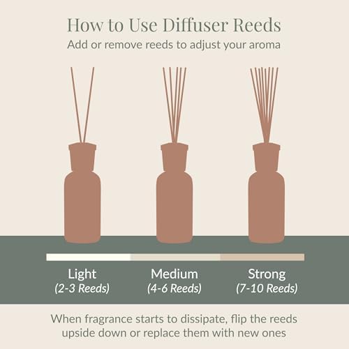 Archipelago Botanicals Lavande Reed Diffuser Set