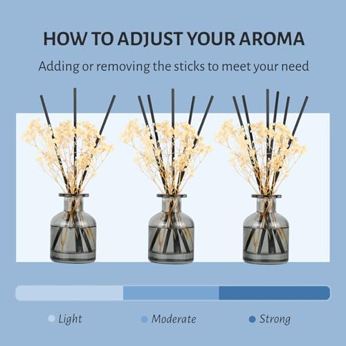 Brakula 2 Pack Reed Diffuser Set with 12 Sticks