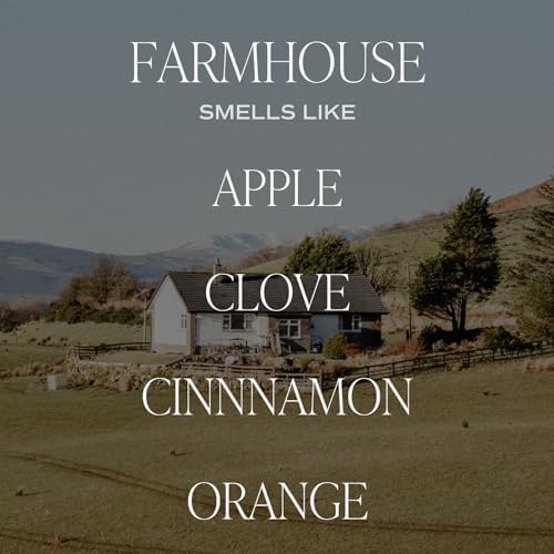 Sweet Water Decor Farmhouse Amber Reed Diffuser Set