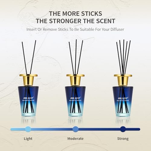 Airkeep Reed Diffuser Set Wild Mint Eucalyptus