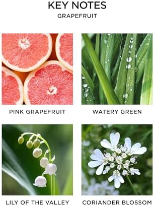 NEST New York Grapefruit Scented Candle Diffuser Set