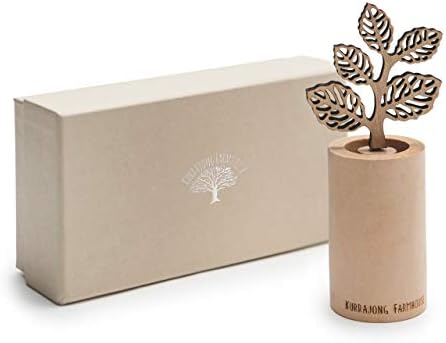 Kurrajong Farmhouse Reed Diffuser Set 6 Mini Diffuser Stick