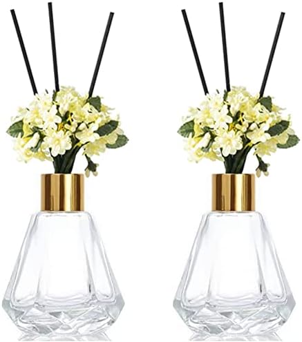 TOPWEL 2PCS 60ml Clear Glass Diffuser Jars Set