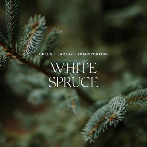Antica Farmacista Reed Diffuser Set - White Spruce 320ml