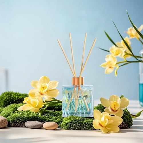 Lodeur Vill Vanilla Reed Diffuser Set 100ML
