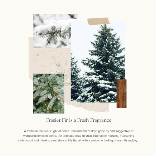Thymes Frasier Fir Reed Diffuser Set - 4 Fl Oz Gold