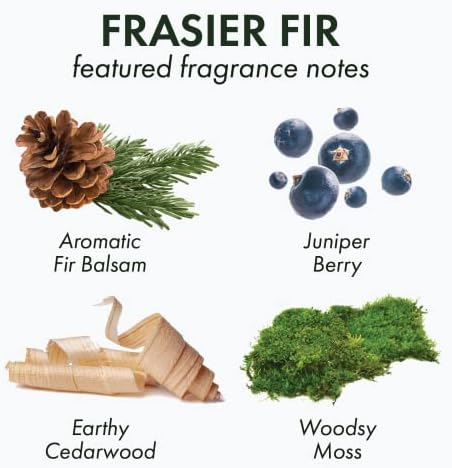 Gute Fraser Fir Scented Soy Candle Reed Diffuser Set