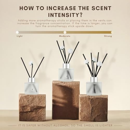 Brakula Reed Diffuser Set Black Vanilla