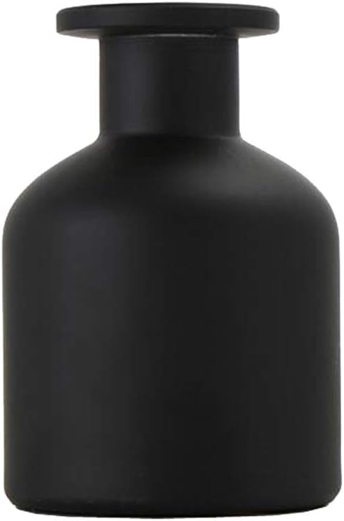 Elegant Glass Diffuser Bottle for Aromatherapy and Home Dcor